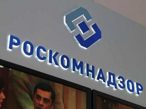 Роскомнадзор заблокировал десятки зеркальных пиратских сайтов Роскомнадзор заблокировал десятки зеркальных пиратских сайтов