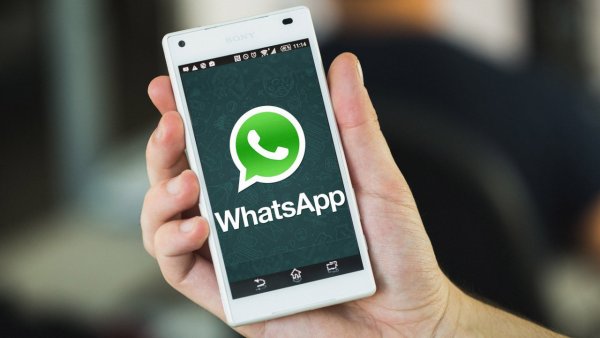 В WhatsApp появились схожие с Telegram каналы В WhatsApp появились схожие с Telegram каналы