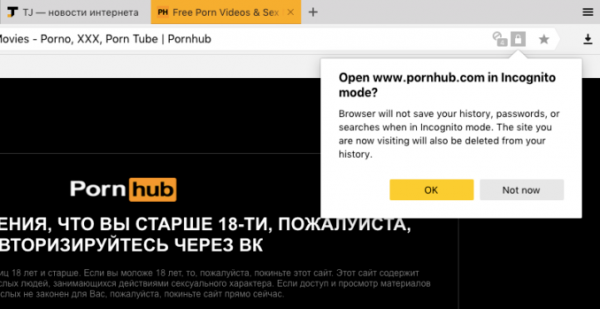 «Яндекс. Браузер» предлагает автоматически открывать порносайты в режиме инкогнито «Яндекс. Браузер» предлагает автоматически открывать порносайты в режиме инкогнито