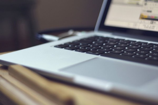 В России создадут копию соцсети LinkedIn В России создадут копию соцсети LinkedIn